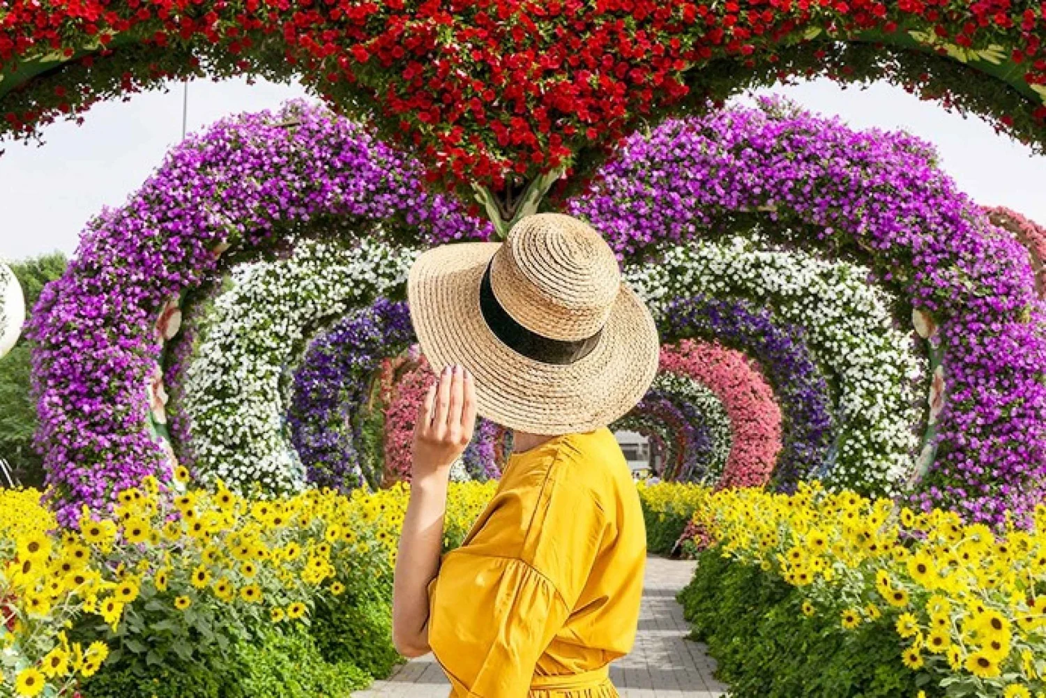 Dubai Miracle Garden Entry Ticket