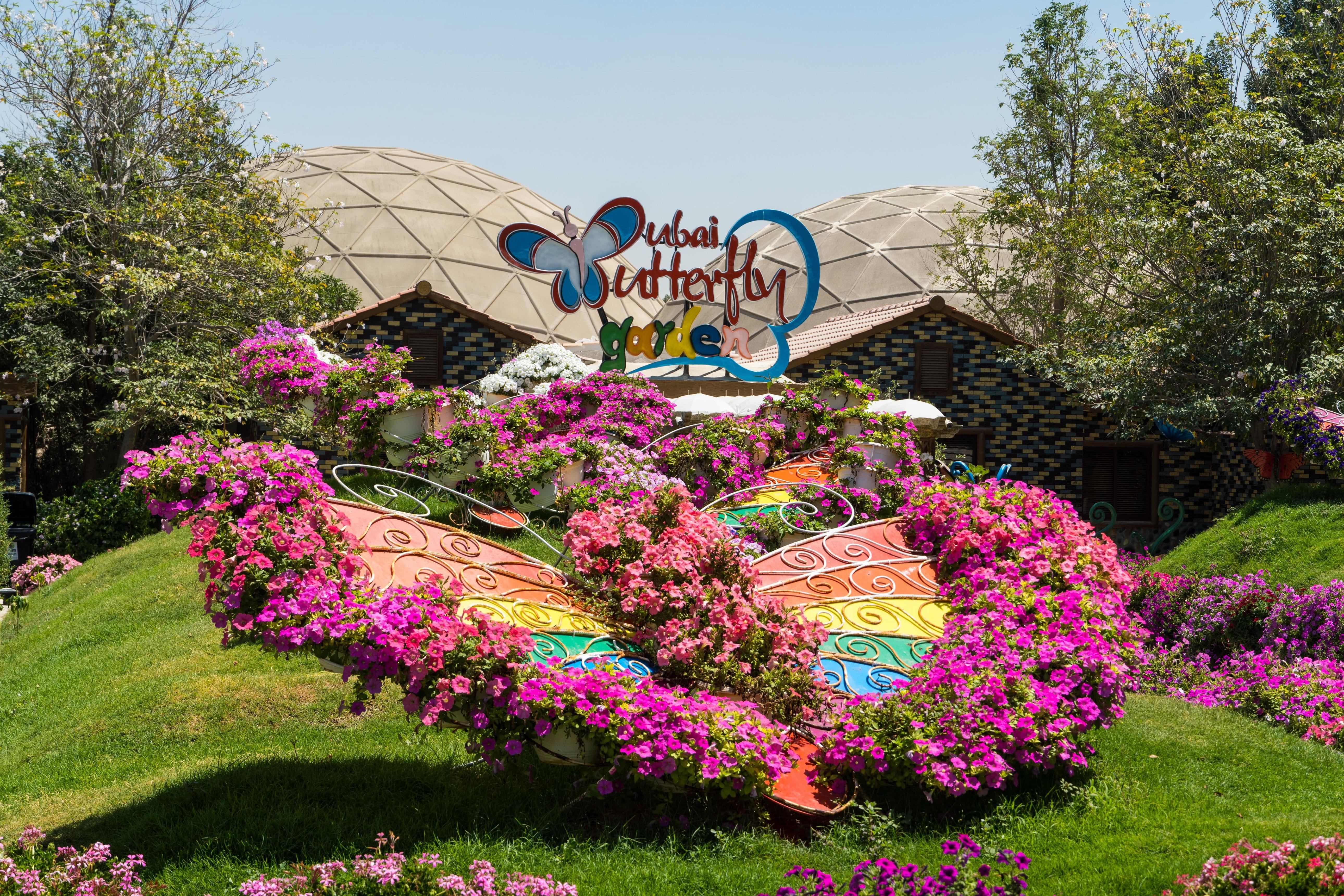 Dubai Butterfly Garden Tickets Dubai Butterfly Garden Tickets