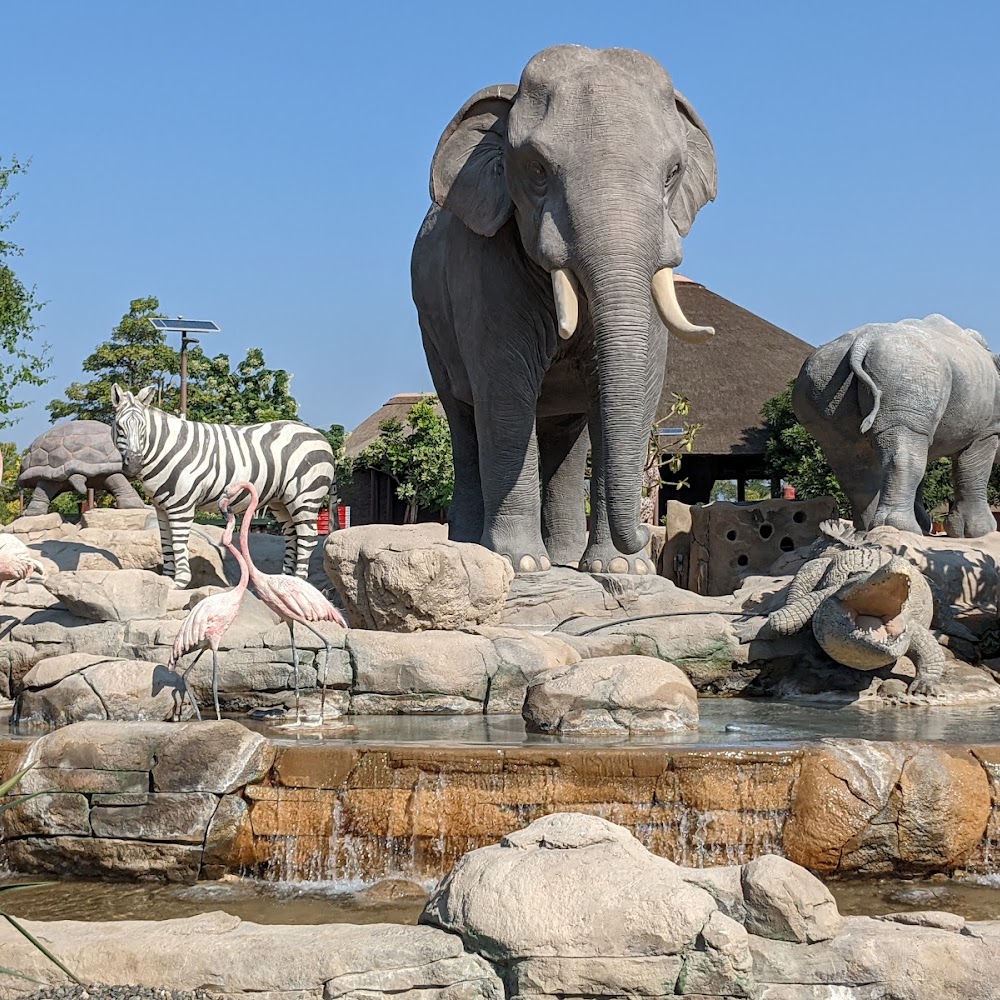 Dubai Safari Park Elephant in Dubai Dubai Safari Park Elephant in Dubai