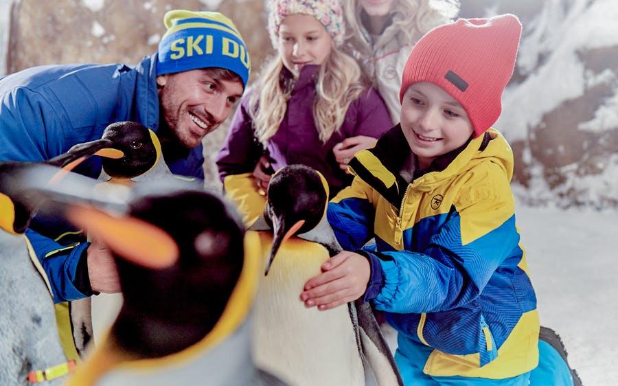 Ski Dubai Snow Penguin Encounter Ski Dubai Snow Penguin Encounter