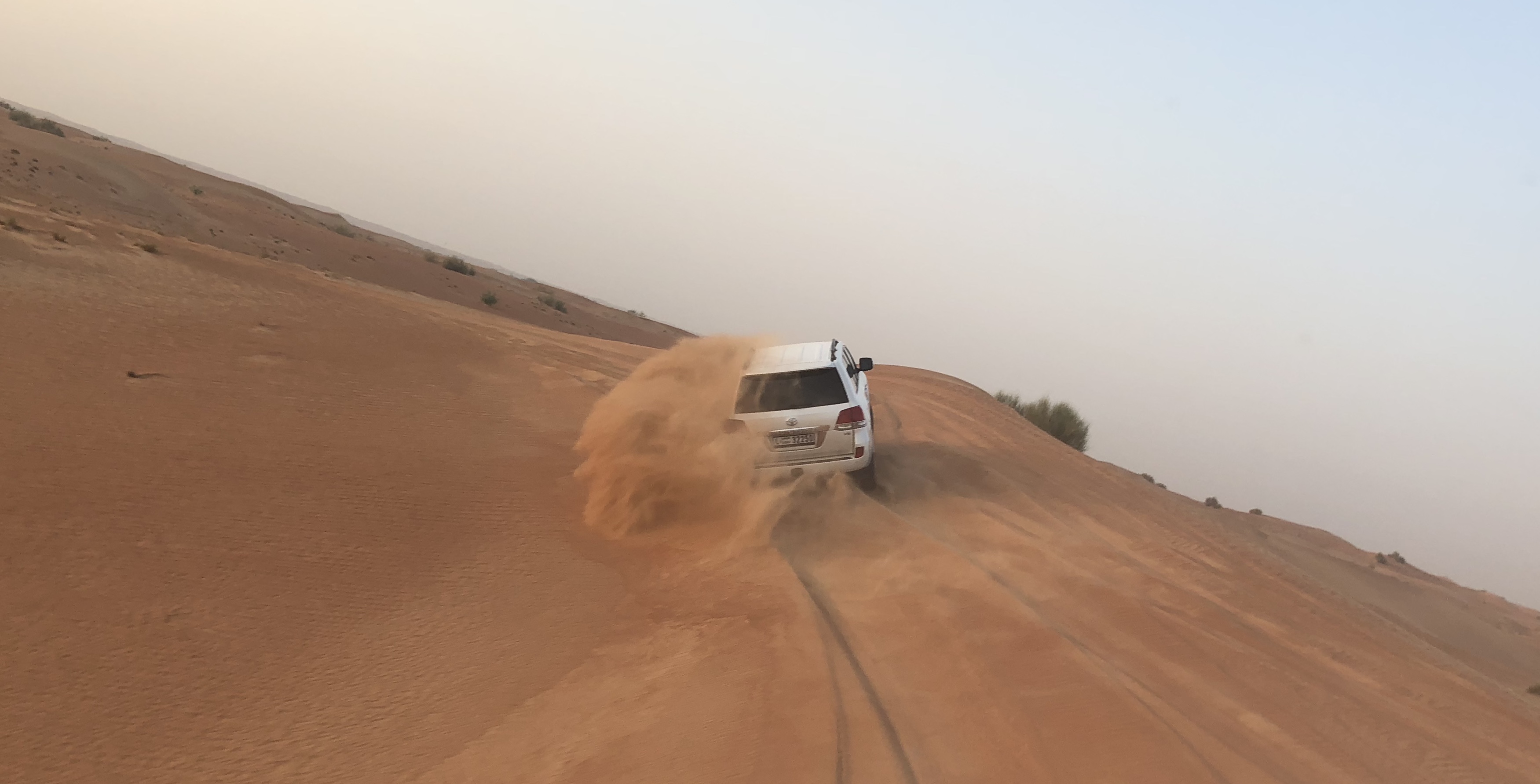 Dubai Desert Safari with BBQ Dinner