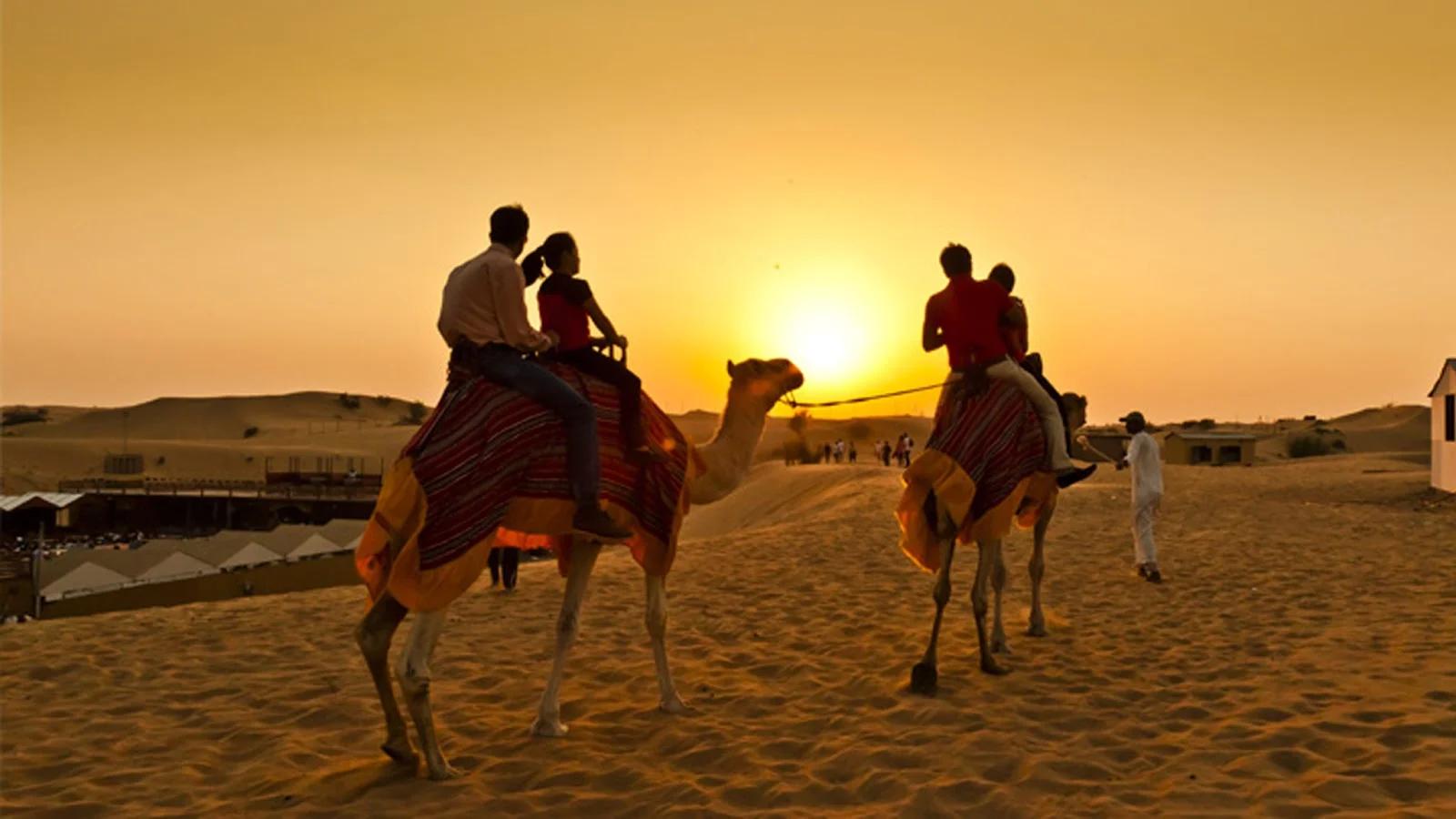 Dubai desert safari Camel Ride Dubai desert safari Camel Ride
