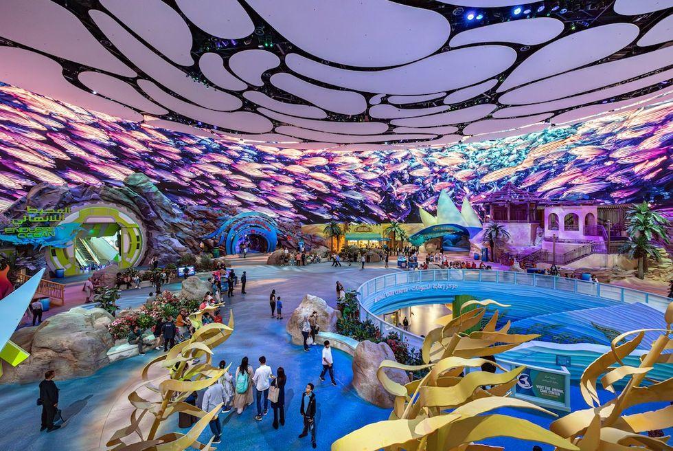 SeaWorld Abu Dhabi interior marine theme park SeaWorld Abu Dhabi interior marine theme park