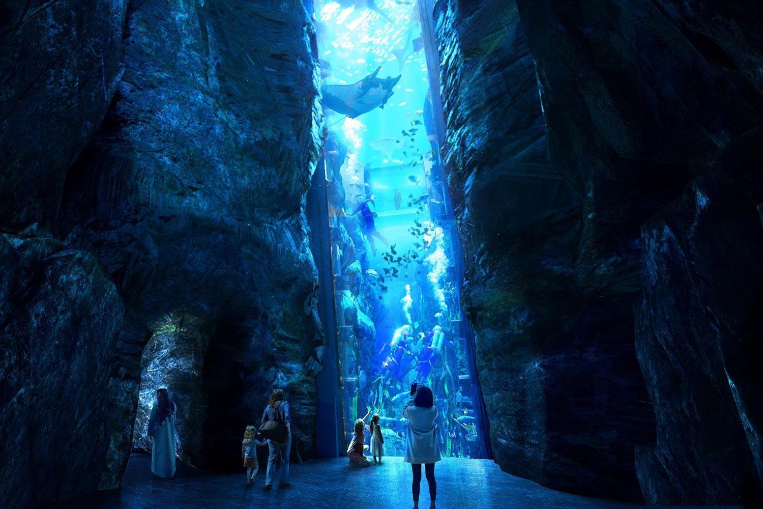 Marine life at SeaWorld Abu Dhabi Marine life at SeaWorld Abu Dhabi